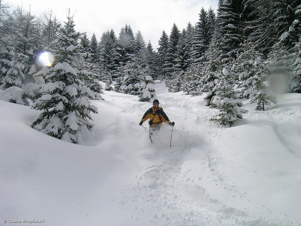Skitechnik Basic